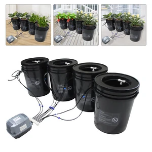 4 Bucket 5 Gal DWC Hydroponics Grow System with Top Drip Irrigation Growing Kit - Picture 1 of 17