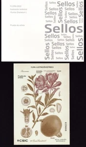 2022 - España - Prueba de Lujo Nº 161 - Flora - Ilustracion Botanica - Imagen 1 de 1