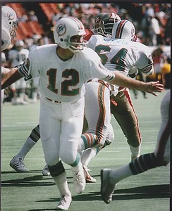 BOB GRIESE 8 X 10 PHOTO MIAMI DOLPHINS HOF MEMBER 1990 PURDUE 1971 MVP 2 - Picture 1 of 1