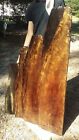 Old Growth Ancient Sinker Cypress Rare Exotic Burl Wood Slab Shelves Made In Usa