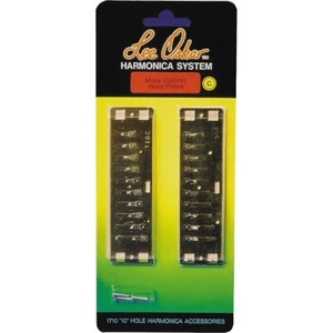 Lee Oskar Major Diatonic Reed Plates  High G - Picture 1 of 1