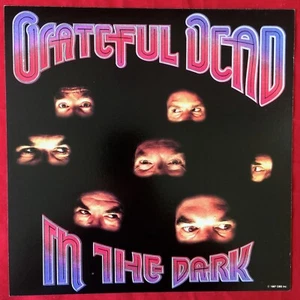 GRATEFUL DEAD : "In The Dark" 12”x 12”STORE DISPLAY ALBUM FLAT (Double Sided) - Imagen 1 de 2