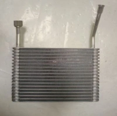 Conjunto de evaporador TYC 97138 para Jeep Grand Cherokee modelos 2005-2010 Foto 1 de 2