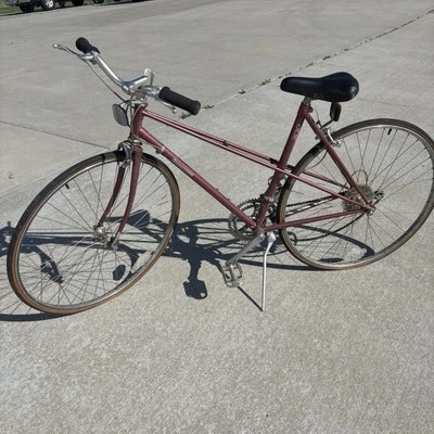 Bicicleta de carretera Bridgestone 300 de colección cuadro de 20 pulgadas - color malva Foto 1 de 4