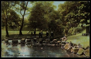 Stepping Stones Endcliffe Woods Sheffield Yorkshire Postcard - Picture 1 of 2