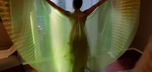 FLÜGEL des IS, 6 EINZIGARTIGE STOFFE, 6 EINZIGARTIGE FARBEN, TANZ, KOSTÜM, GOTHIC - Bild 1 von 25