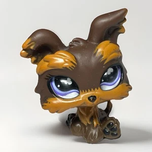 Littlest Pet Shop LPS #509 Yorkshire Dog Chocolate Glass Eyes Figure Toy Hasbro - Picture 1 of 5