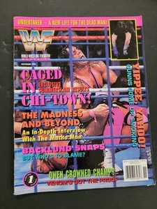 WWF Magazine November 1994 Bret Hart Caged M453 - Picture 1 of 1