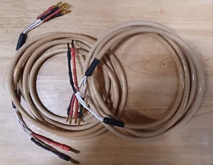 chord company speaker cables Rumour 4 . 2 X 104 inches long - Picture 1 of 6