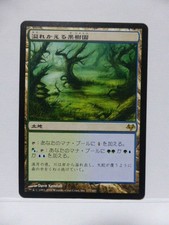 1x Flooded Grove *JAPANESE* MTG EVE Eventide Magic the Gathering
