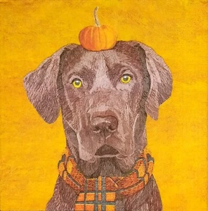 S518# 3 servilletas de papel pequeñas individuales para decoupage perro con sombrero de calabaza amarillo - Imagen 1 de 4