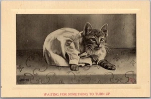 1910s CAT Greetings Postcard Dressed Kittens "Waiting for Something to Turn Up" - Picture 1 of 2