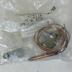 Termostato Potterton Ranco K36 CL6P0114 - 429116 - NUEVO STOCK ANTIGUO - Imagen 1 de 3