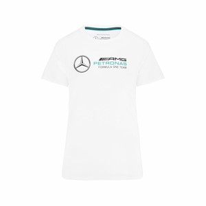Ropa New Era Motor Sport Originales 2021 | Ropa New Era Motor Sport Negros  - Mercedes Benz Enginee Pullover 96840RCWN