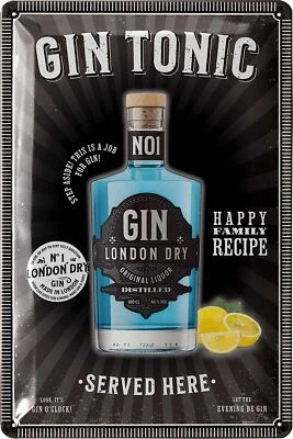 Retro Blechschilder Sprüche GIN TONIC Bar Schild Küche Dekoration 20x30cm - Bild 1 von 4