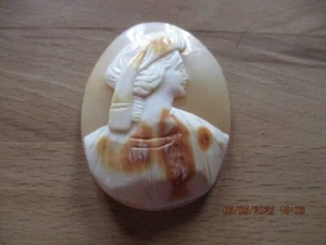 Feine Muschelgemme Cameo Kamee Camee ungefaßt Frauenbildnis 5 x 3,9 cm - Bild 1 von 2