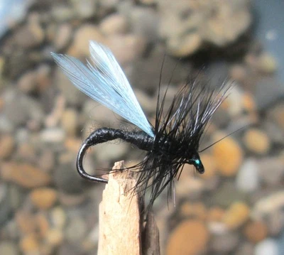 Gilchrist Fliegen. 3 x Trockenfliegen BLACK ANT. Mit und ohne Widerhaken - Bild 1 von 2