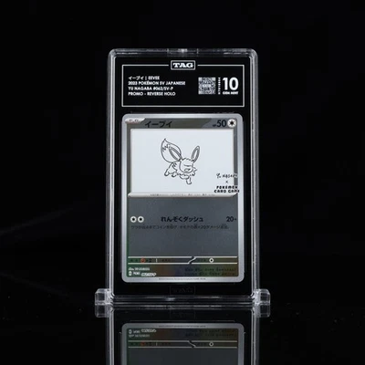 Pokemon Eevee - 062/SV-P Yu Nagaba Holograma Inverso (Japonés) ETIQUETA 10 GEMA COMO NUEVO Foto 1 de 2