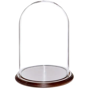 Plymor 8" x 12" Glas Display Kuppel Cloche (dunkles Mahagoni Furnier Basis) - Bild 1 von 1