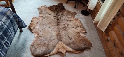 ELK DEER SKIN Hair On Hide Rug  60x52 Rustic Cabin Decor  - Image 1 of 4