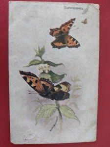 Butterfly Postcard, Tortoiseshell, Artist Maud Scrivener - Picture 1 of 2