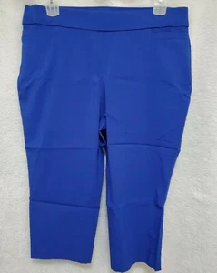 Briggs Womens Capri Pants Size 16W Blue - Picture 1 of 24