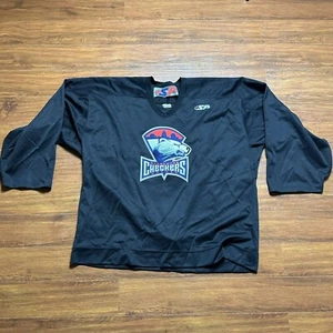Vintage Charlotte Checkers ECHL Jersey Pro 58G SP Embroidered Patch Made Canada AHL - Bild 1 von 15