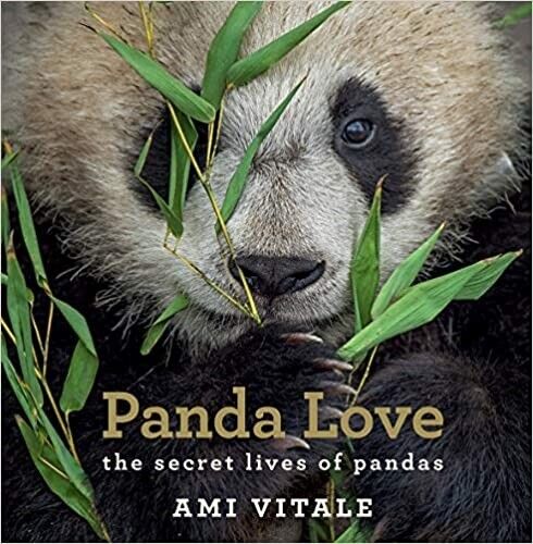 Panda Love: The Secret Lives of Pandas (Hardcover)