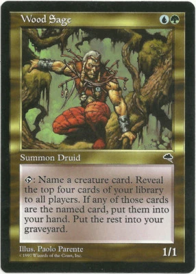 Magic the Gathering x1 Wood Sage Tempest Rare Multicolored Creature NM - Image 1 of 2
