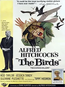 Wanddekoration Poster. Home Room Design. Hitchcock Die Vögel Horrorfilm.11731 - Bild 1 von 1