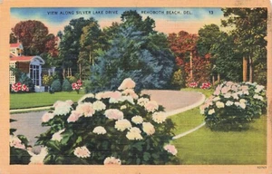 Blick entlang Silver Lake Drive, Rehoboth Beach, Delaware Vintage PC veröffentlicht 1946 - Bild 1 von 2