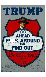 GO AHEAD F*** AROUND and FIND OUT FAFO TRUMP GANGSTER metal print SIGN - Picture 1 of 1