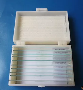 ONE Set of 10 Prepared Microscope Slides,Brand New,Choice of 9 Different Themes - Foto 1 di 1