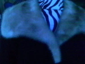 BLACK PERSIAN LAMB AUTUMN HAZE MINK COLLAR SHORT SWING JACKET MEDIUM - Picture 1 of 5