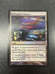 Magic the Gathering MTG Card Springjack Pasture Eventide 179/180 Foil Rare NM JL - Picture 1 of 2