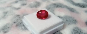 Mosambik Afrika 11x8x7mm OVAL ausgefallen Karo SCHLIFF RUBIN LOSE ZUR SCHMUCKHERSTELLUNG - Bild 1 von 23