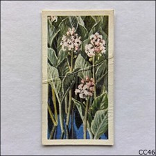 Brooke Bond Tea Card Wild Flowers Series 3 1964 #21 Bog Bean (CC46)