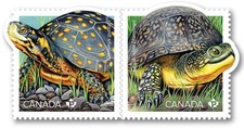 2019 Canada 🍁 ENDANGERED TURTLES Pair of MNH Stamps 🍁 Colorful Issue
