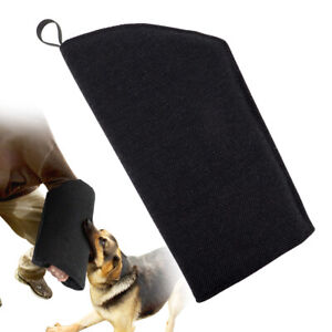 Young Dog Bite Sleeve Training Intermediate Arm Protection Schutzhund Bulldog 