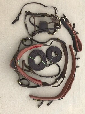 Premium Horse Gig Harness Full Size St Oily Cow Softy Leather with Brass Lacquer - Image 1 of 4