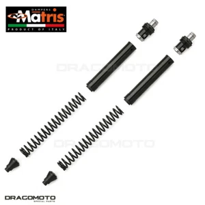 YAMAHA XJ6 2009-2015 Kit forcella MATRIS FY117KE Anteriore YAMAHA|XJ6|2009-2015 - Imagen 1 de 4