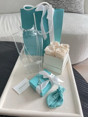 Colar chave grande Tiffany & Co. em prata esterlina 36 pol.  - Imagem 1 de 4