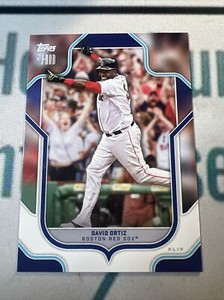 David Ortiz Topps X J-Rod Show Out Collection  Exclusive Red Sox