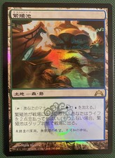 MTG Japanese foil Breeding Pool Gatecrash near mint free shipping!
