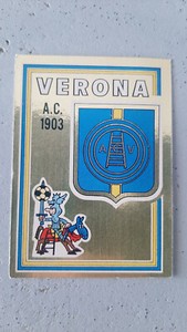 SCUDETTO PANINI FOOTBALLERS 1973/74 NO. 33 VERONA!!