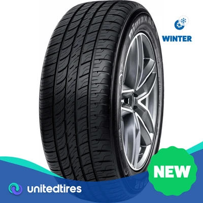 Novo radar P 255/65R17 Dimax AS-8 110H - Imagem 1 de 3