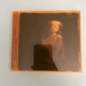 Alice In Chains – Nothing Safe (CD, 1999) Album 494910 2 - Picture 1 of 4