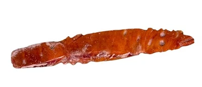 Artefacto precolombino tallado y pulido preclásico occidental de México 150 aC Foto 1 de 4