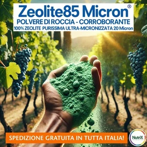 💦Zeolite PURA Micronizzata 100% Biologica CERTIFICATA 20kg SPEDIZIONE GRATIS!🌱 - Foto 1 di 3