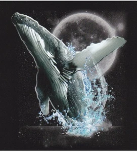 SUPERBE TEE SHIRT HAUTE QUALITE  BALEINE  Dispo: S  M  L XL  XXL XXXL.+ enfant  - Picture 1 of 1